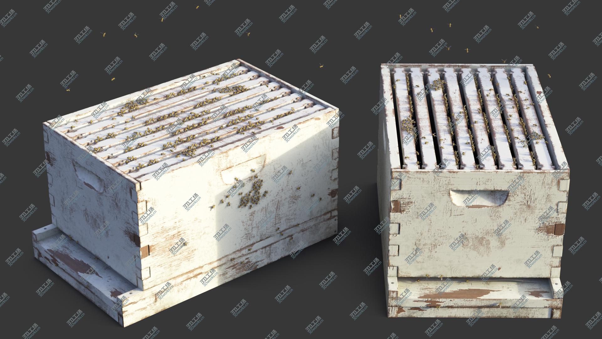 images/goods_img/202105072/Painted Brood Box Cedar 8 Frames 3D/5.jpg